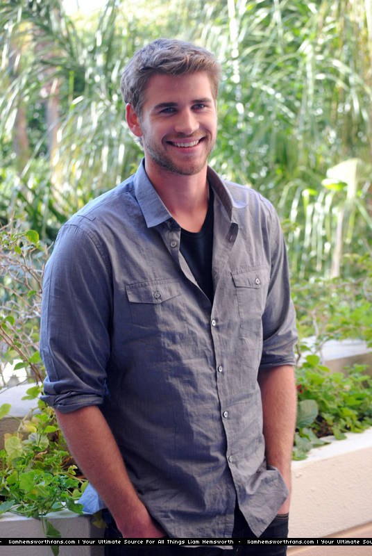 Picture of Liam Hemsworth