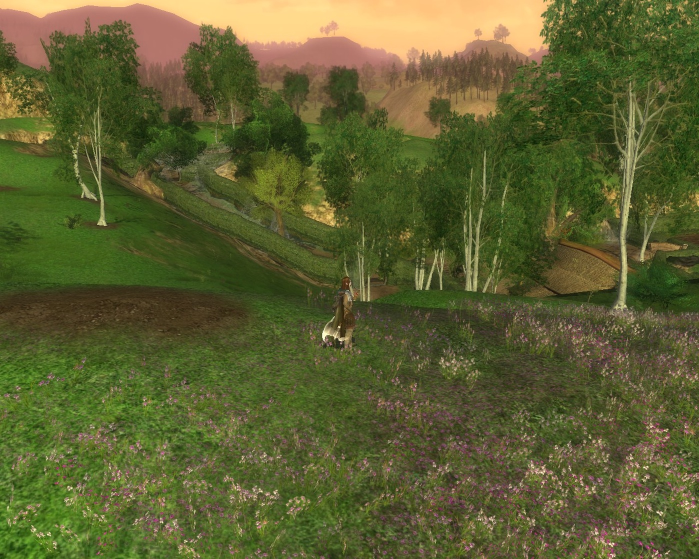 The Lord of the Rings Online: Shadows of Angmar The Lord of the Rings Online: Shadows of Angmar