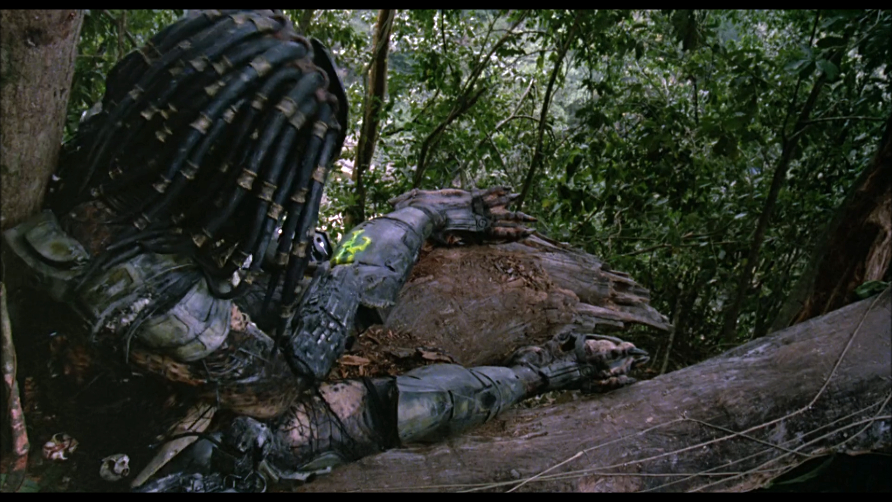 Predator Predator