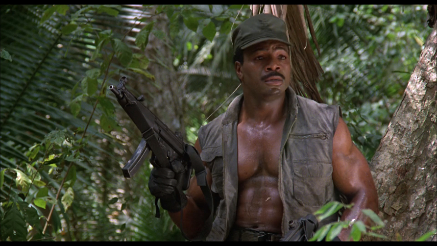 Predator