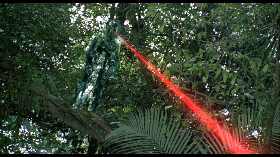 Predator Predator