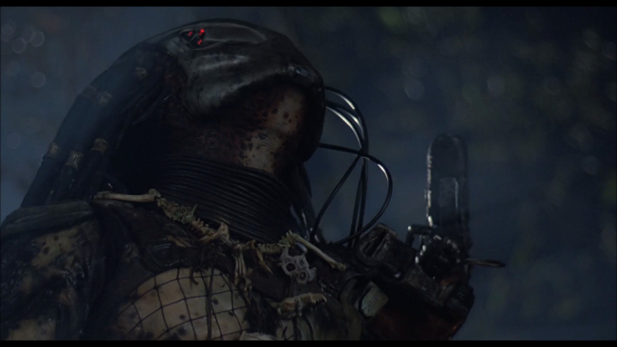 Predator Predator