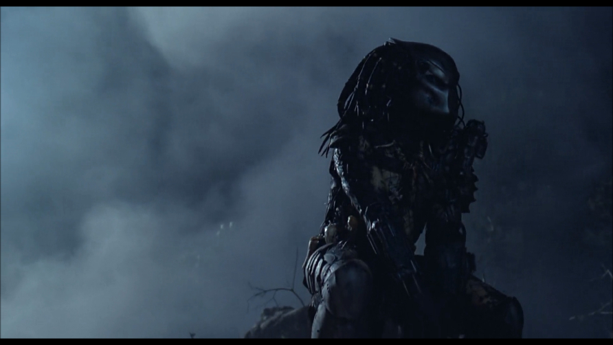 Predator Predator