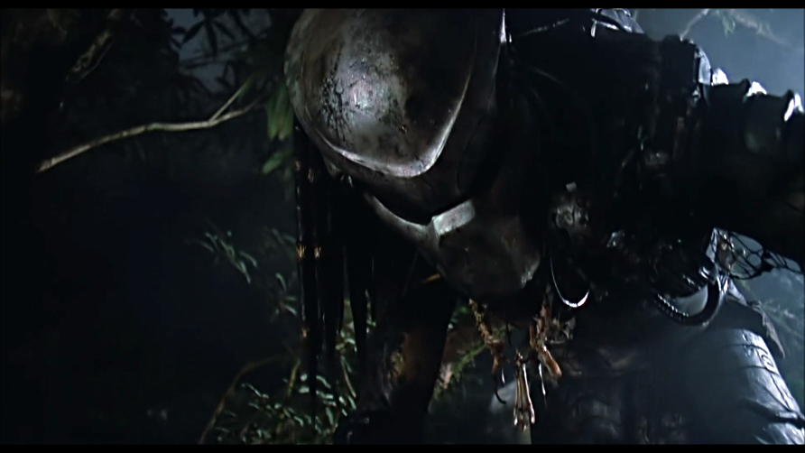 Predator Predator