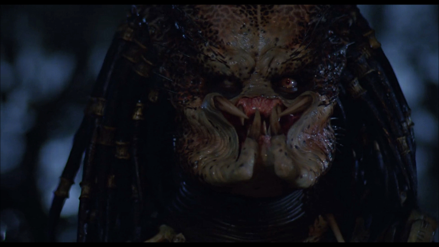 Predator Predator
