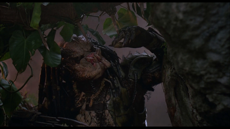 Predator Predator