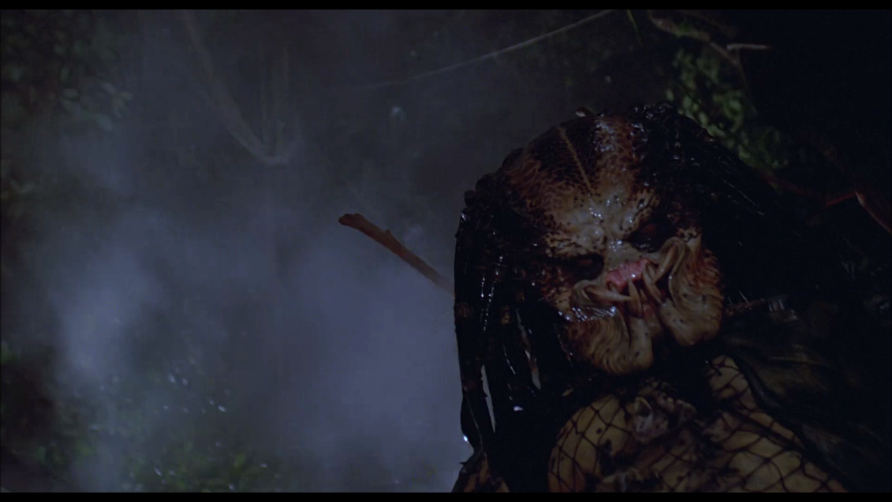 Predator Predator