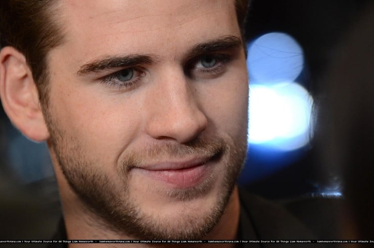 Picture Of Liam Hemsworth