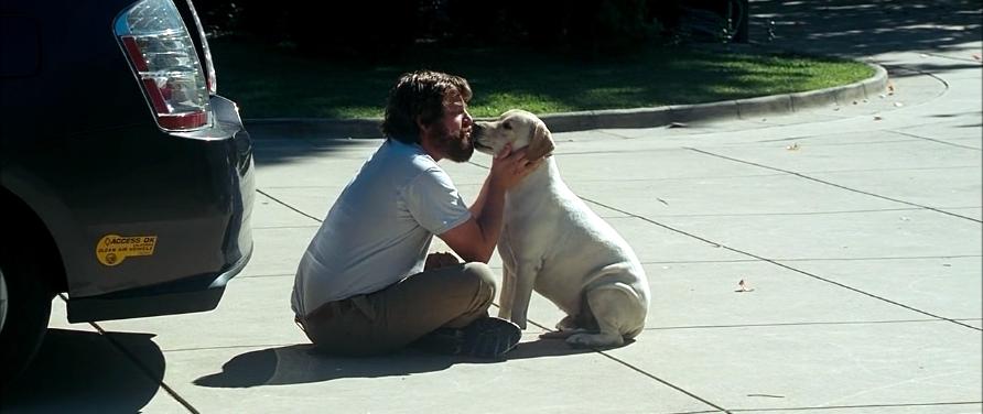 The Hangover The Hangover