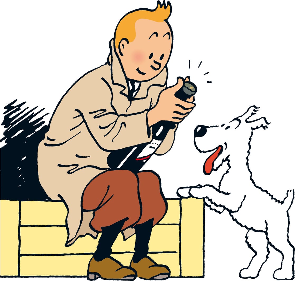 Picture Of The Adventures Of Tintin