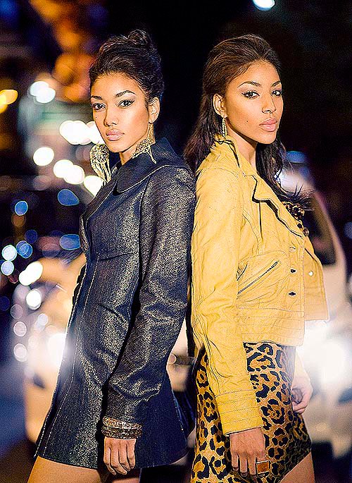 Picture of Brick and Lace