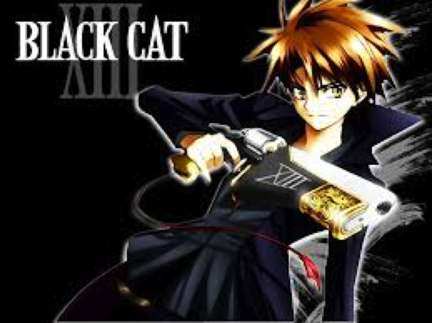 Black Cat