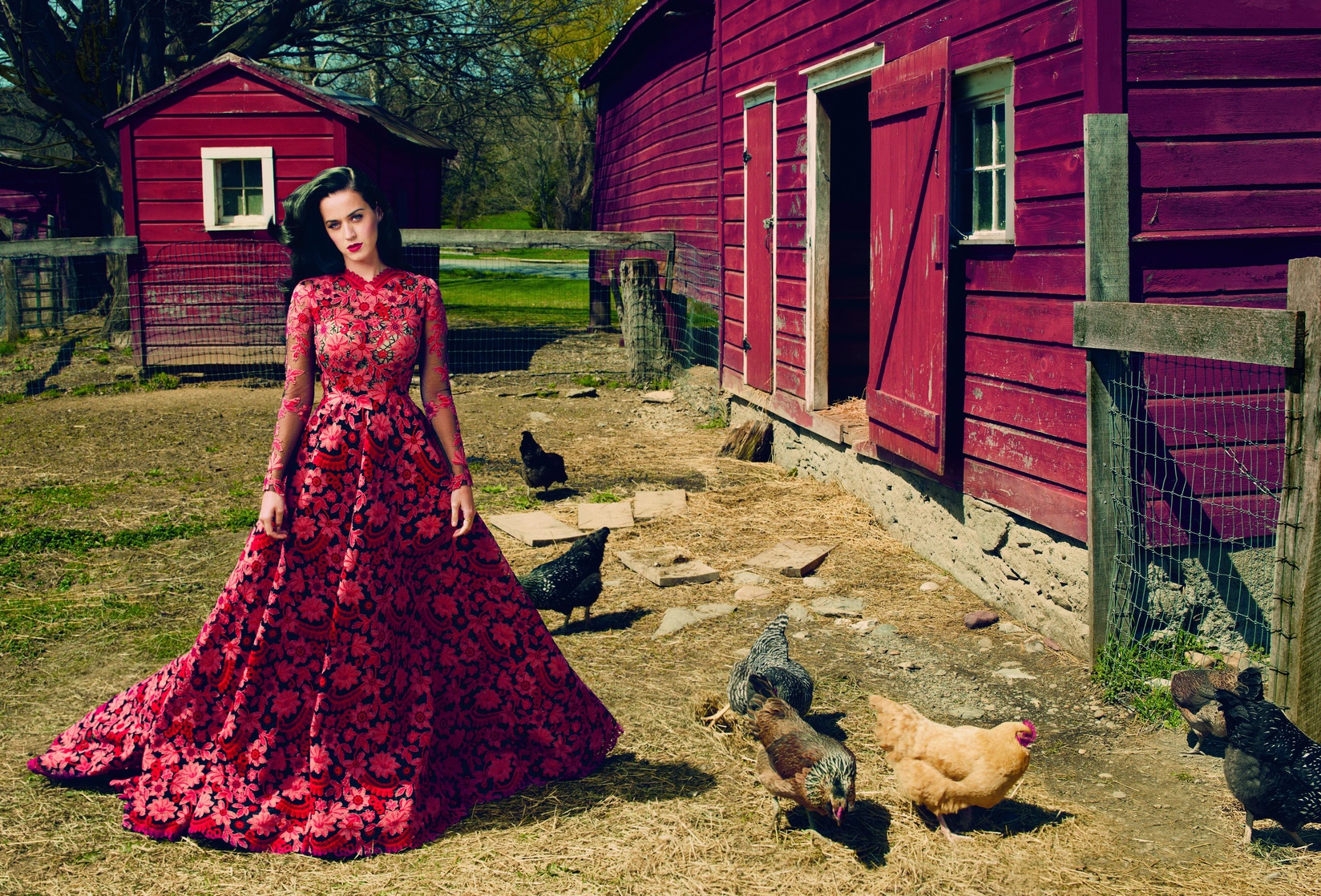 Katy Perry Katy Perry