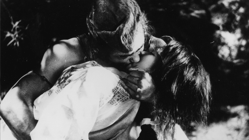 Rashomon