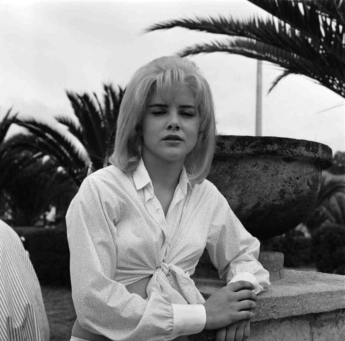 The Night of the Iguana (1964) The Night of the Iguana (1964)