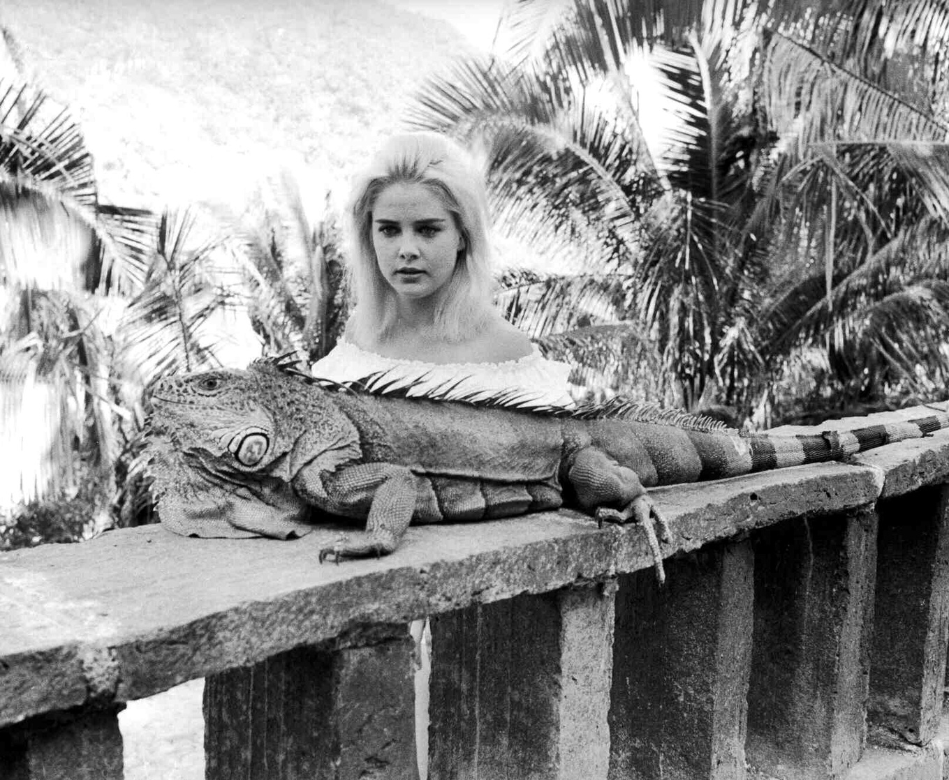 The Night of the Iguana (1964) The Night of the Iguana (1964)