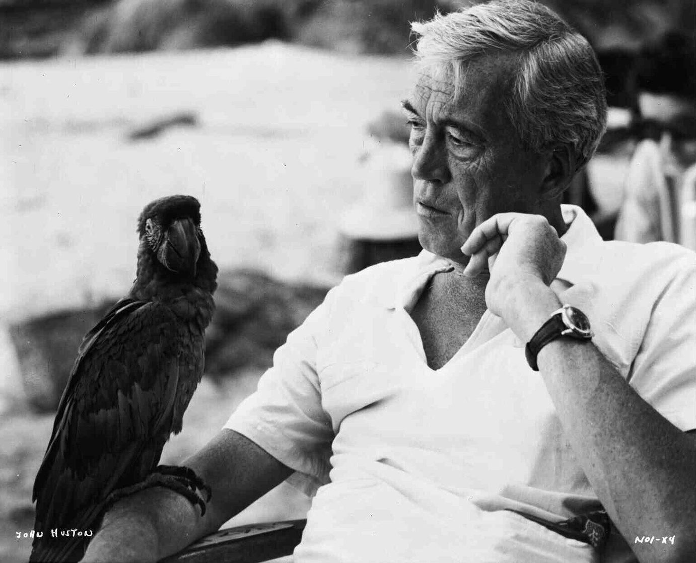The Night of the Iguana (1964) The Night of the Iguana (1964)