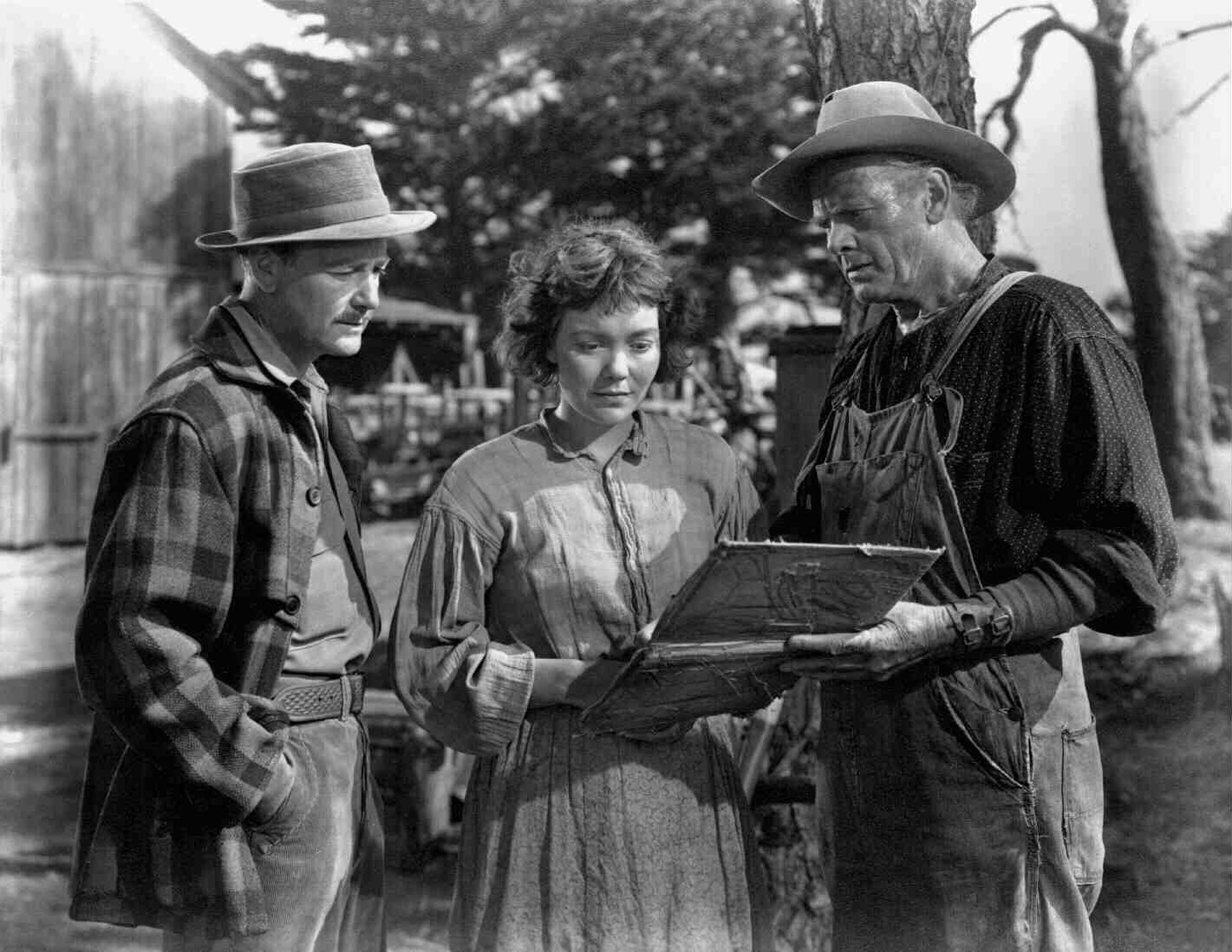 Johnny Belinda (1948) Johnny Belinda (1948)