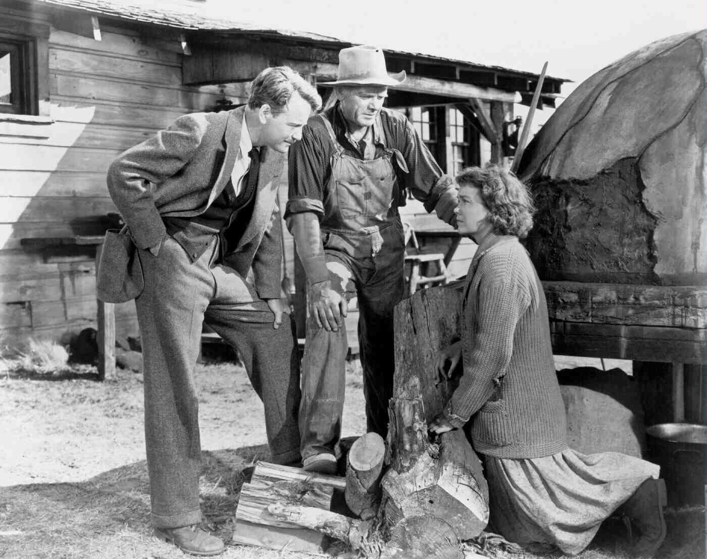 Johnny Belinda (1948)
