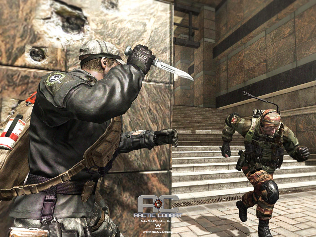 Arctic Combat