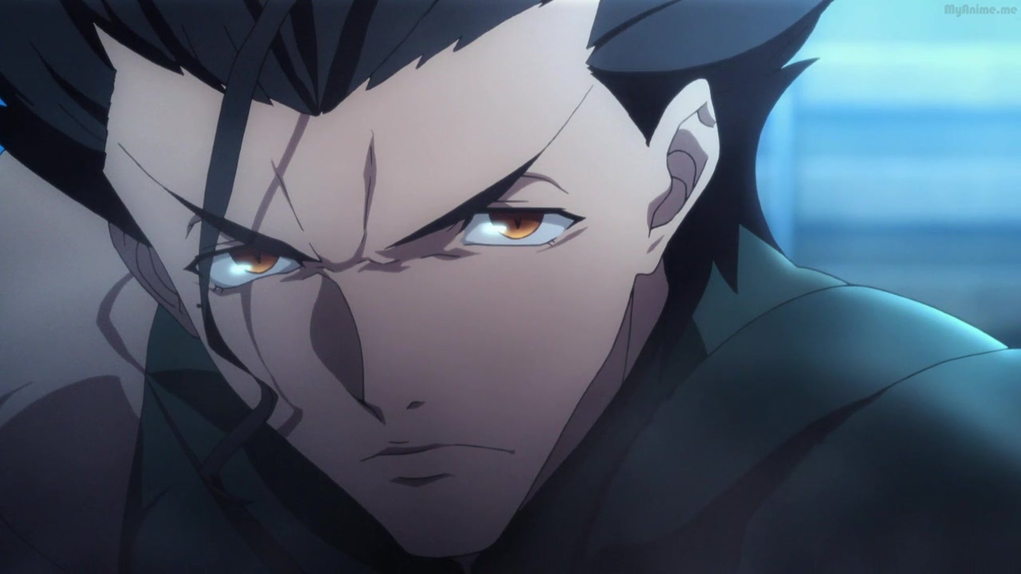 Fate/Zero