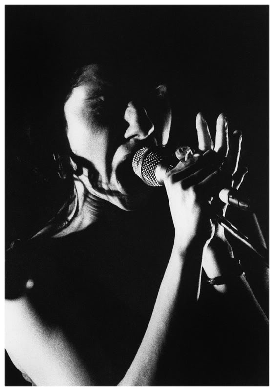 Picture of PJ Harvey