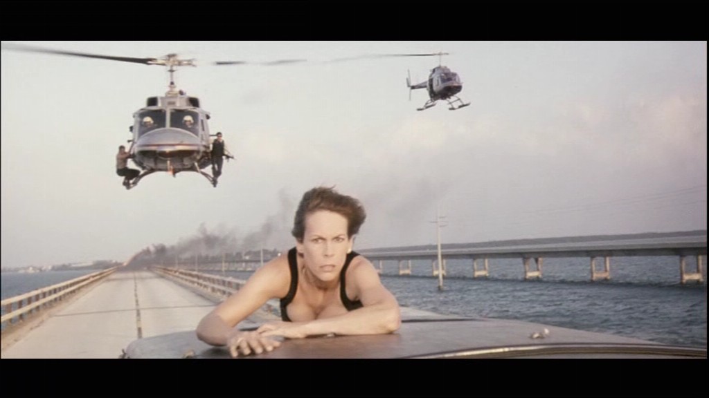 True Lies True Lies