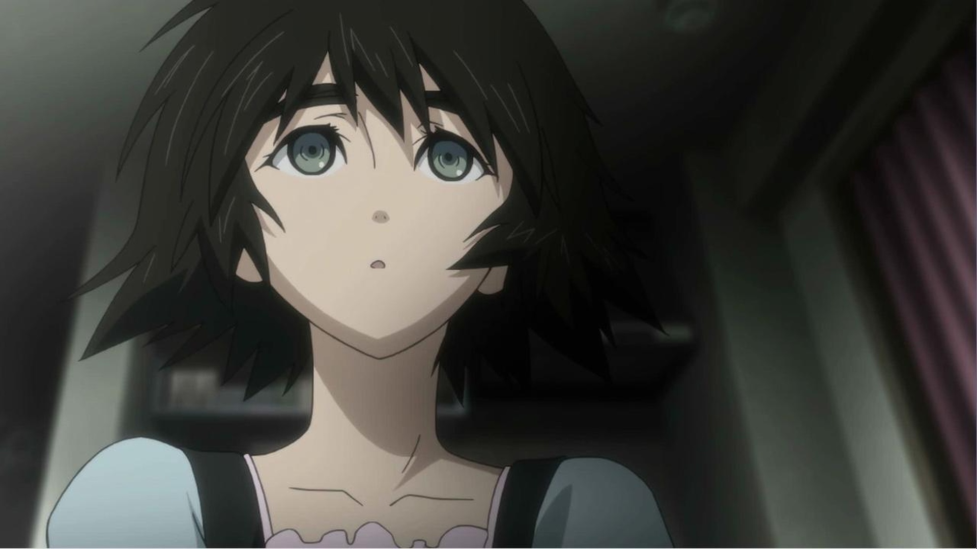 Steins;Gate