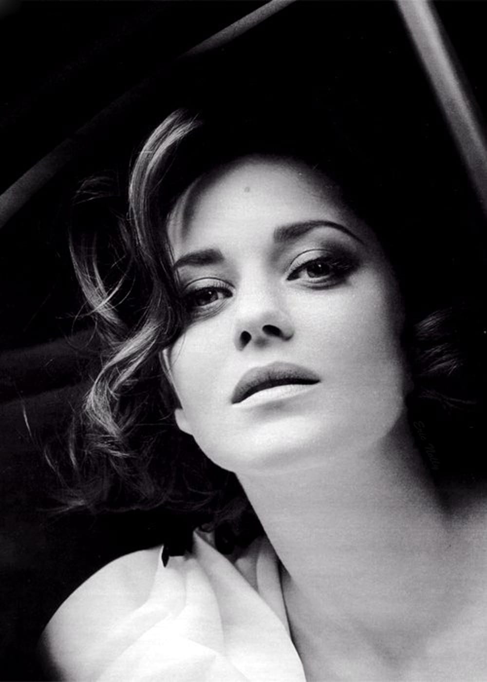 Marion Cotillard