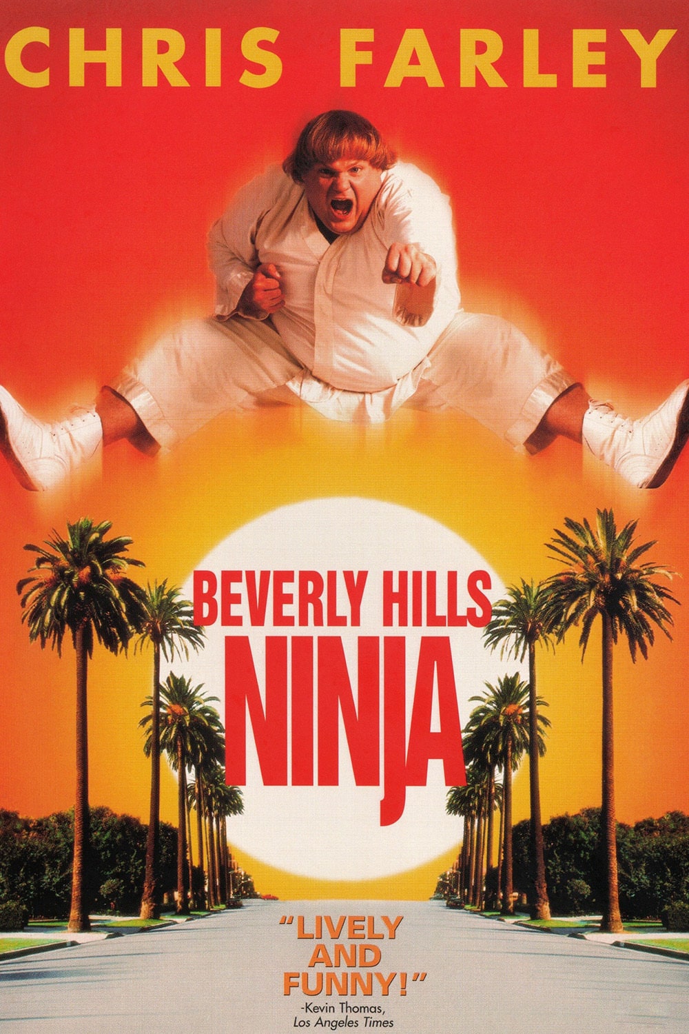 Beverly Hills Ninja