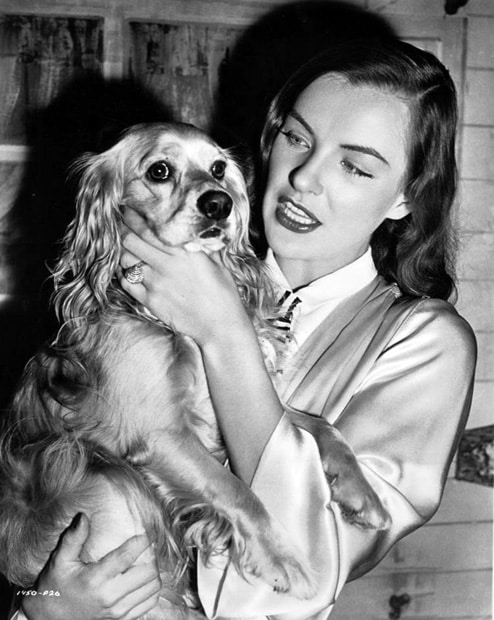 Picture of Ella Raines