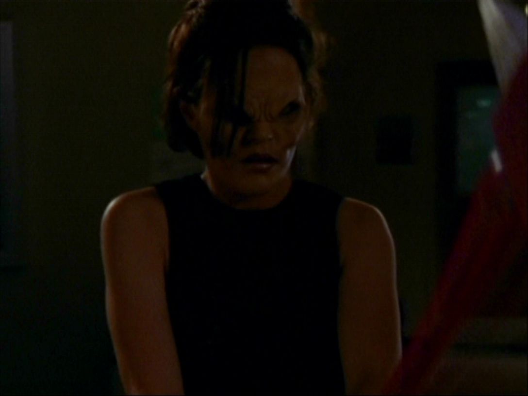 Buffy the Vampire Slayer