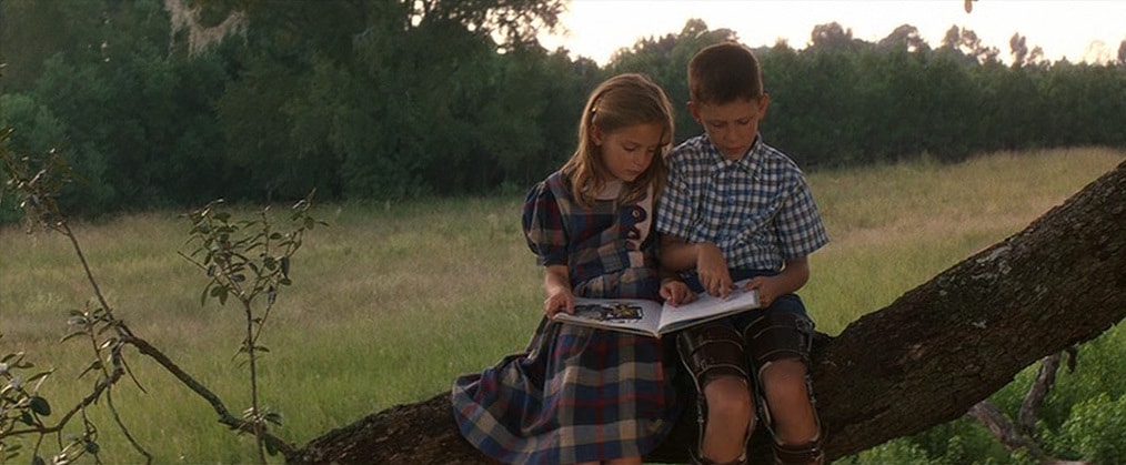 Picture of Forrest Gump (1994)