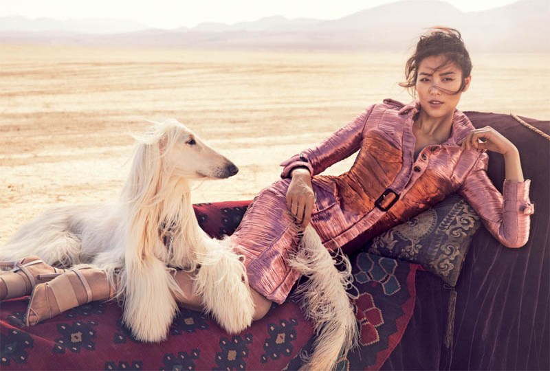 Liu Wen Liu Wen