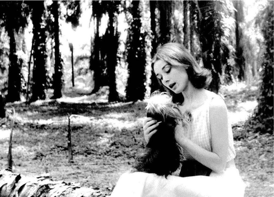 Audrey Hepburn Audrey Hepburn