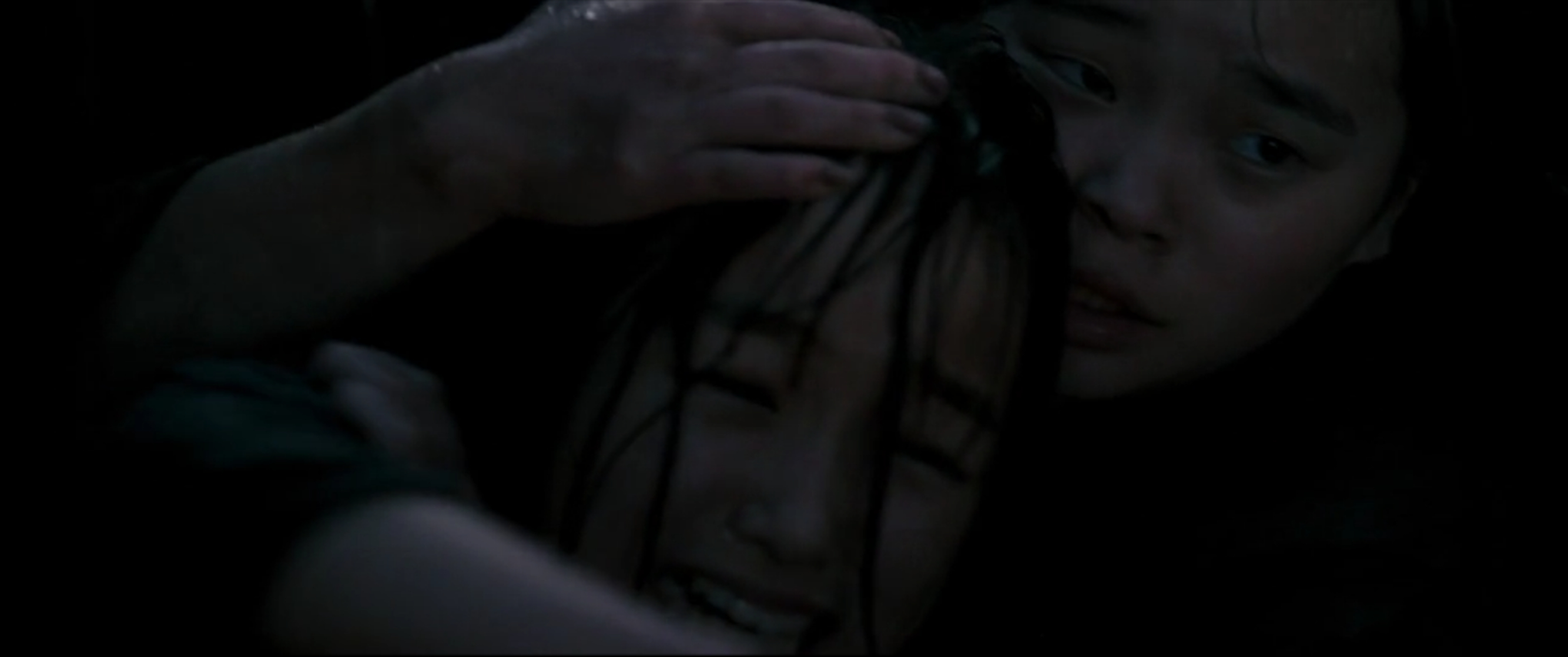 Memoirs of a Geisha