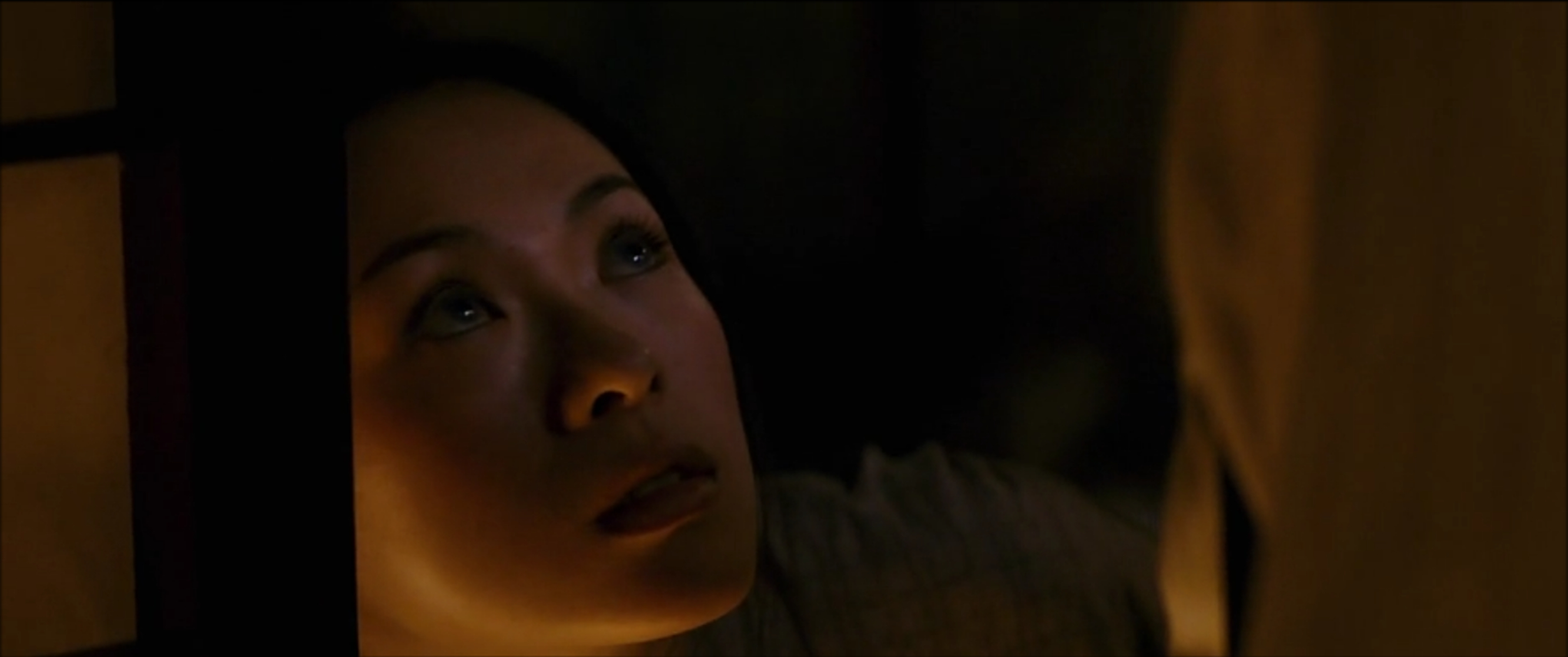 Memoirs of a Geisha