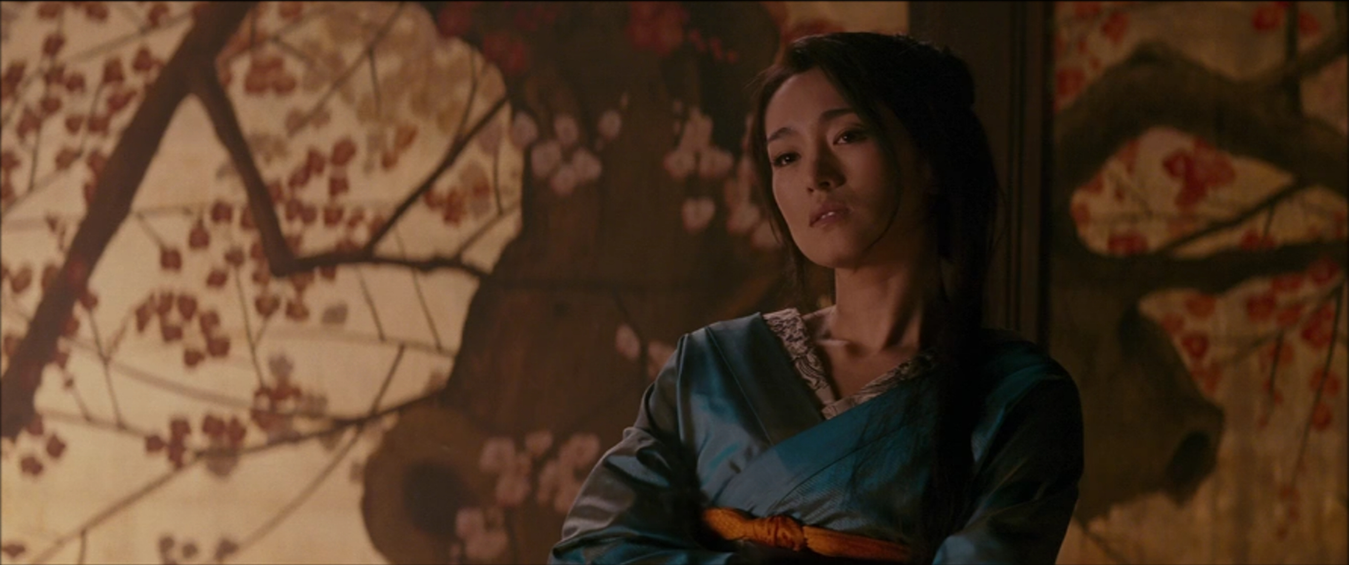 Memoirs of a Geisha Memoirs of a Geisha