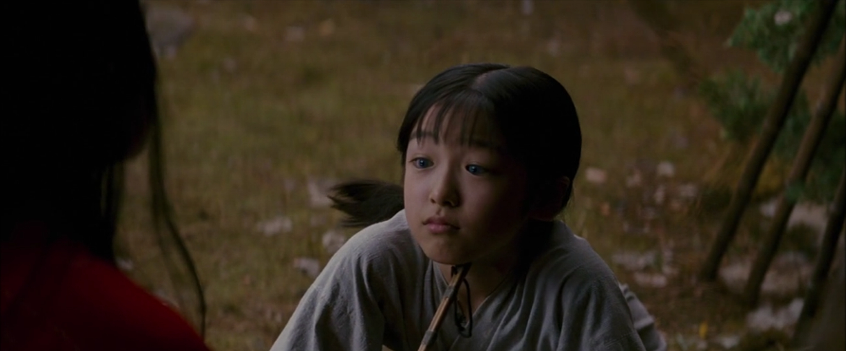 Memoirs of a Geisha