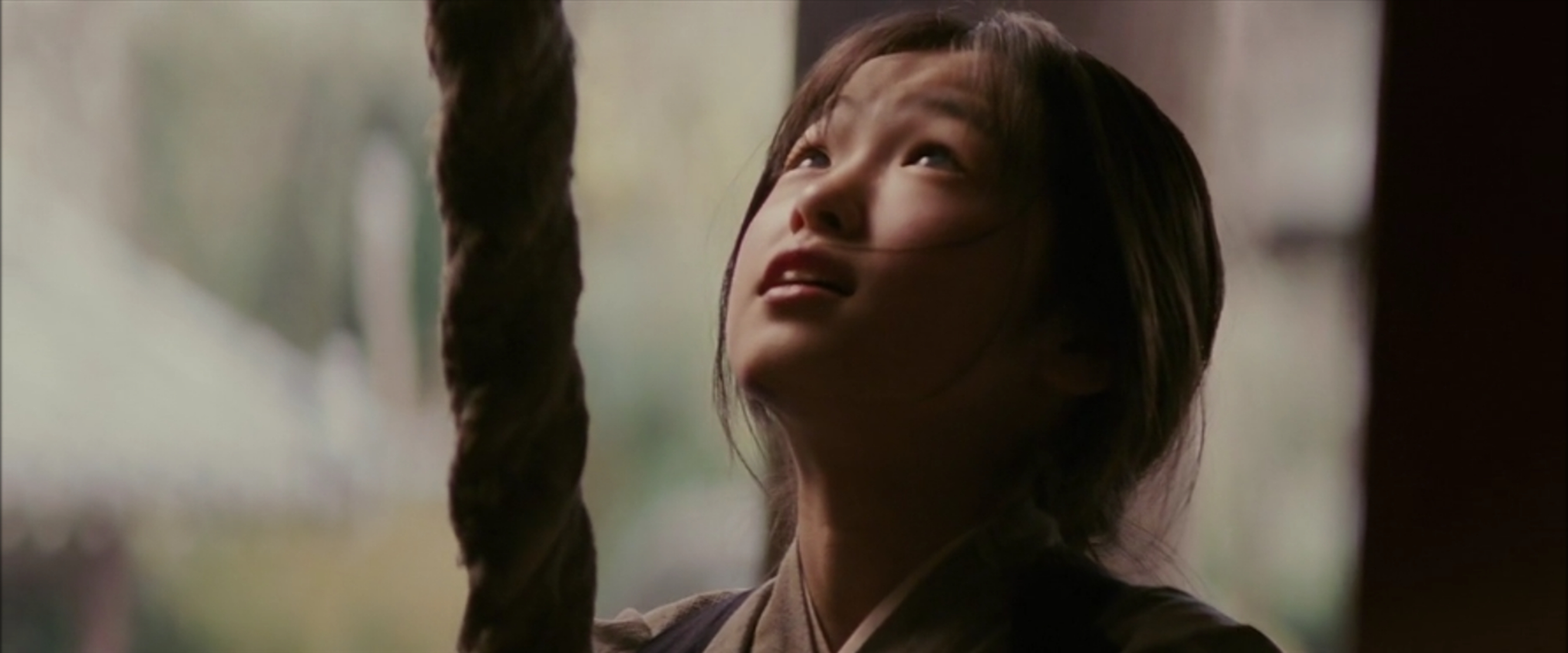 Memoirs of a Geisha Memoirs of a Geisha