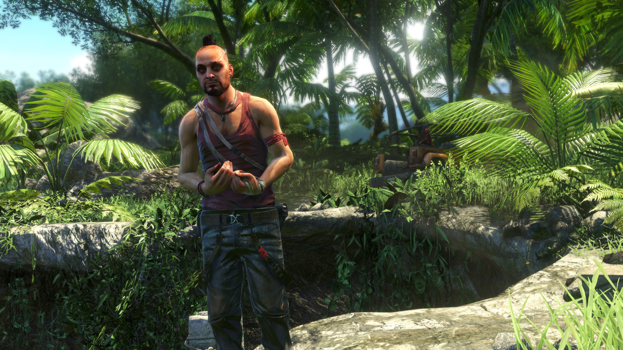 Far Cry 3