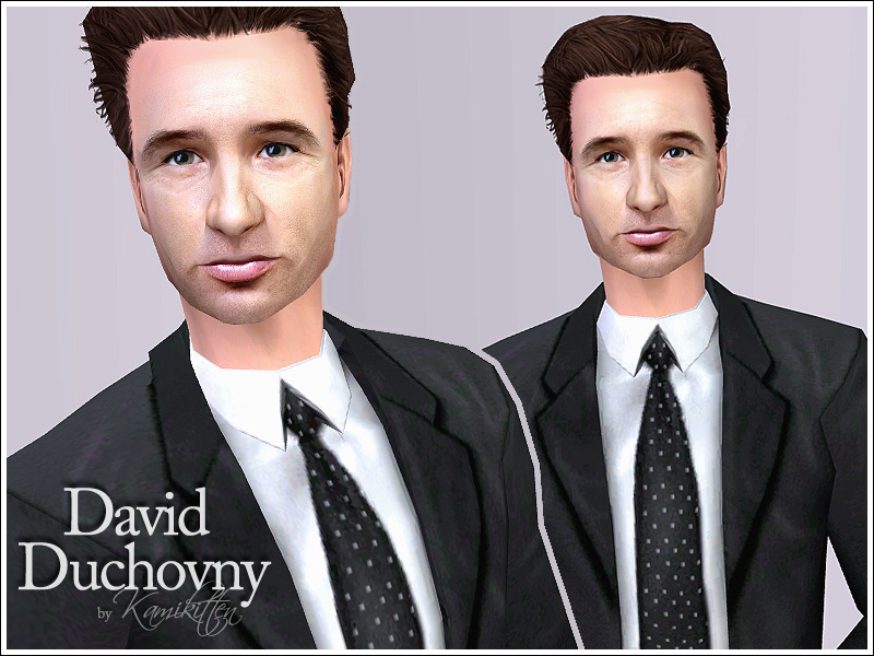 David Duchovny David Duchovny
