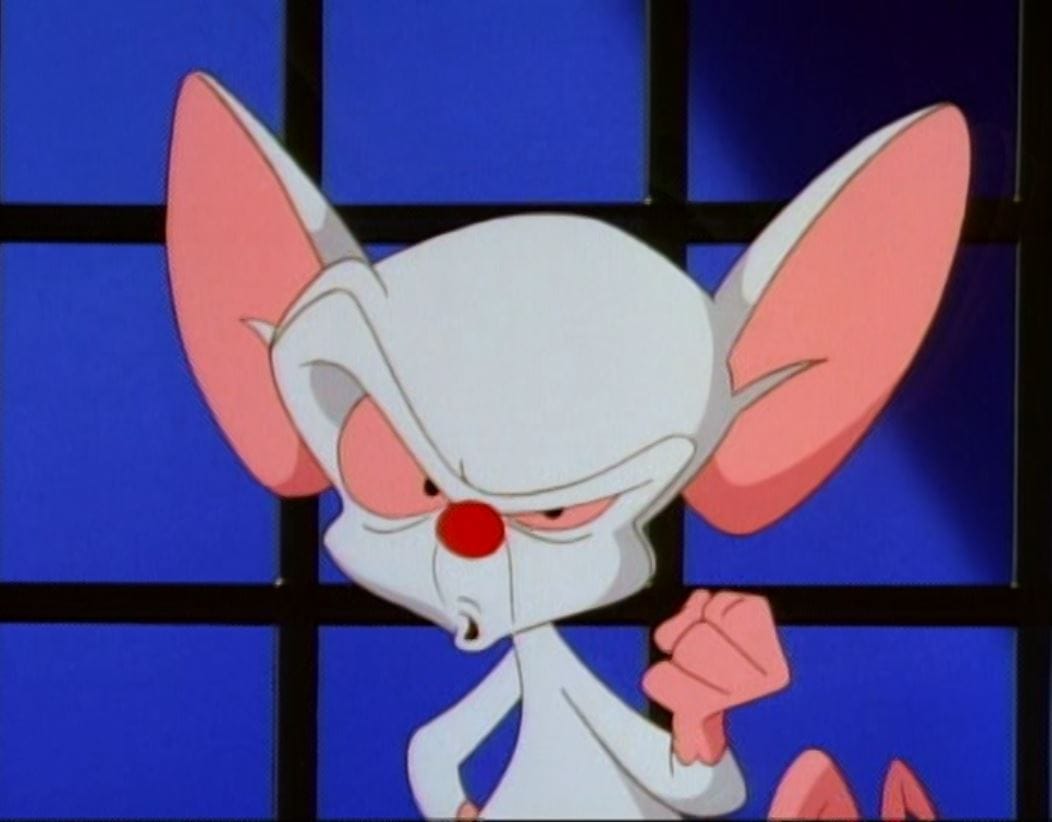 Picture of Pinky and the Brain