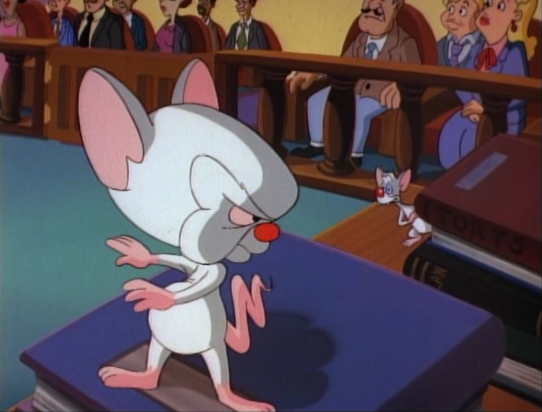 Pinky and the Brain Pinky and the Brain