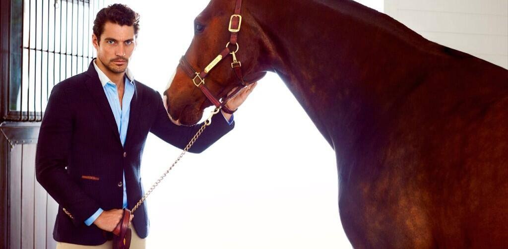David Gandy David Gandy