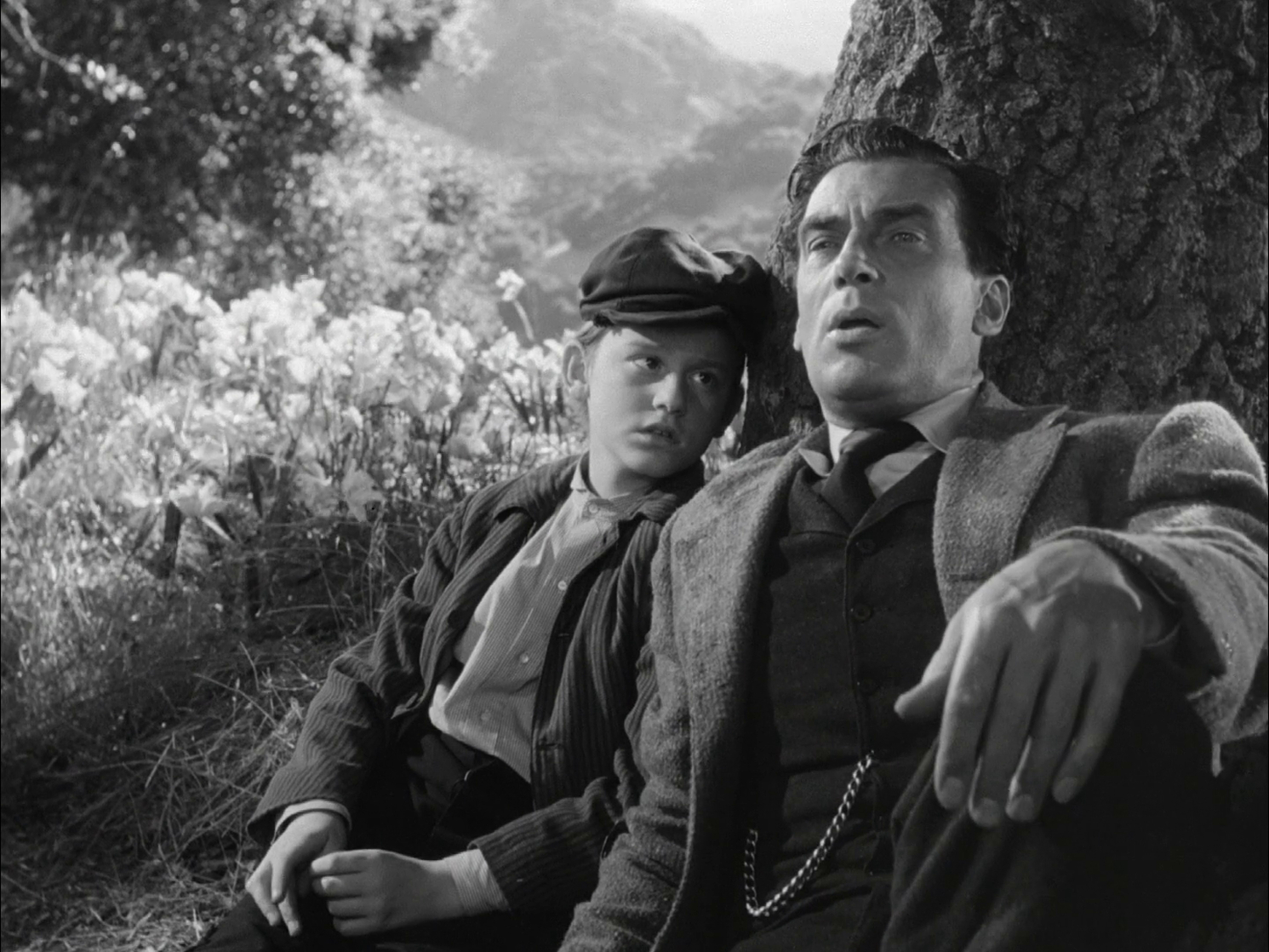 How Green Was My Valley (1941)