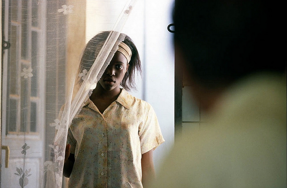 Picture of Shooting Dogs