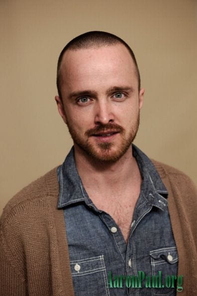 Aaron Paul picture