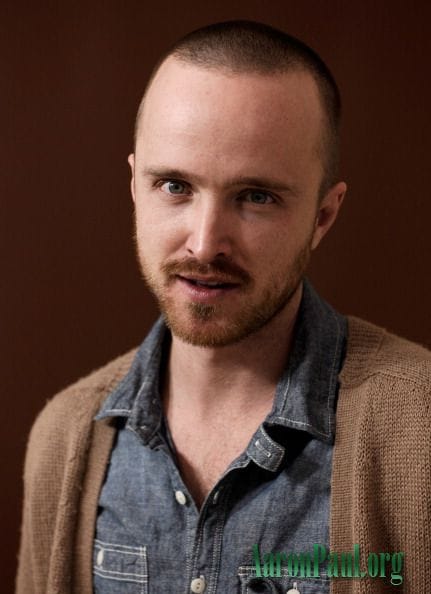 Picture of Aaron Paul