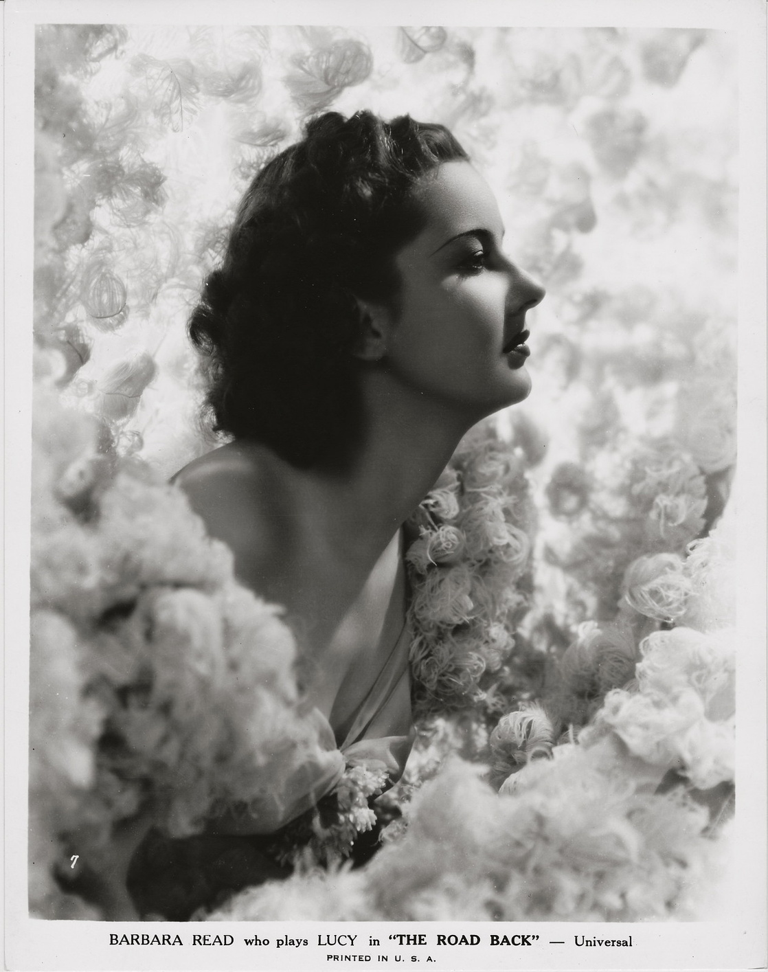 Discussion on this topic: Barbara Read, barbara-read/ Forum on this topic: Hazel Shermet, barbara-read/
